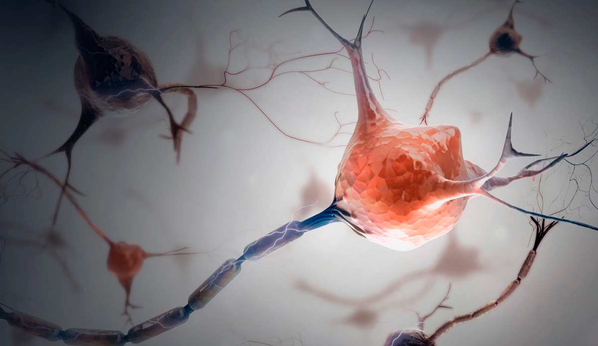 Консьерж для пациентов с рассеяным склерозом